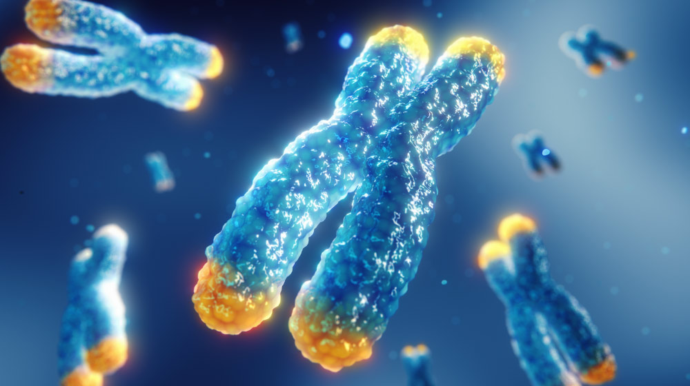 Telomeres-3D-render-concept-The-Telomere-Enigma-Are-These-Tiny-Strands