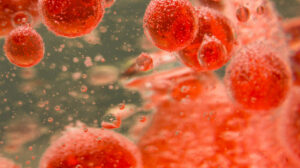 Red-blood-cells-Too-Much-Iron-in-Blood-Can-Be-Life-threatening